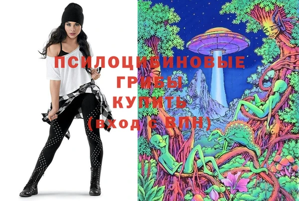 молекула духа Заволжск