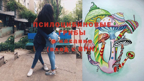 марки lsd Заводоуковск